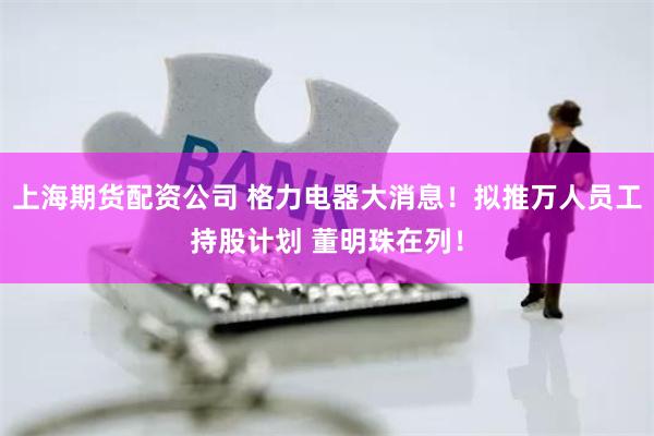 上海期货配资公司 格力电器大消息！拟推万人员工持股计划 董明珠在列！